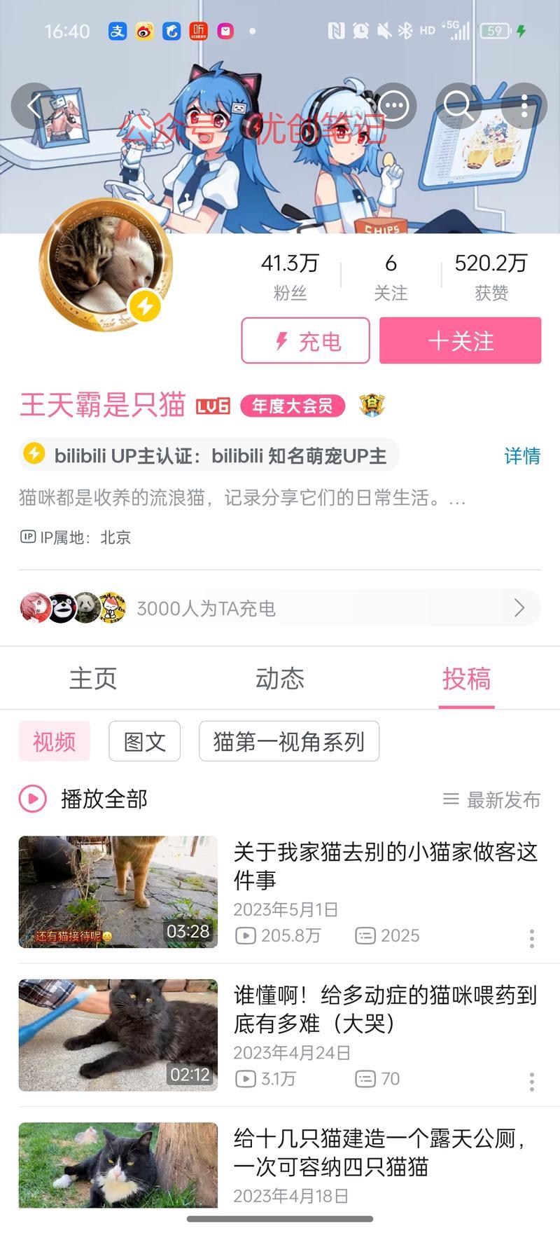 B站账号观察 – “王…#情报-搞钱线报📢论坛-网创交流-优创圈